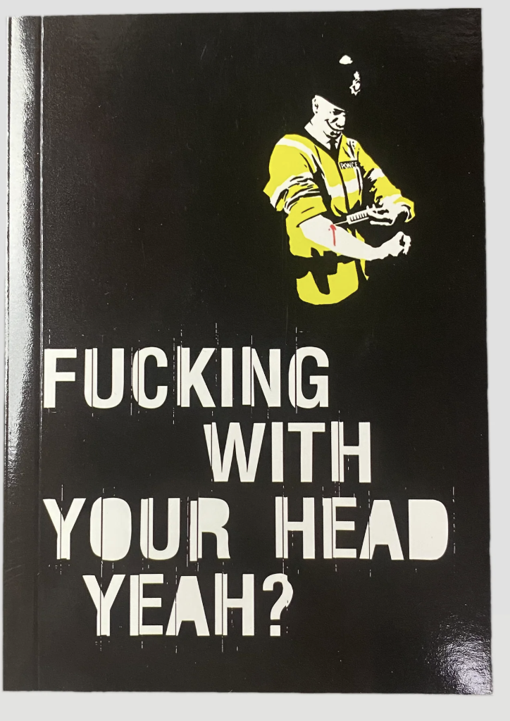 Cover of Nathan Barley DVD book